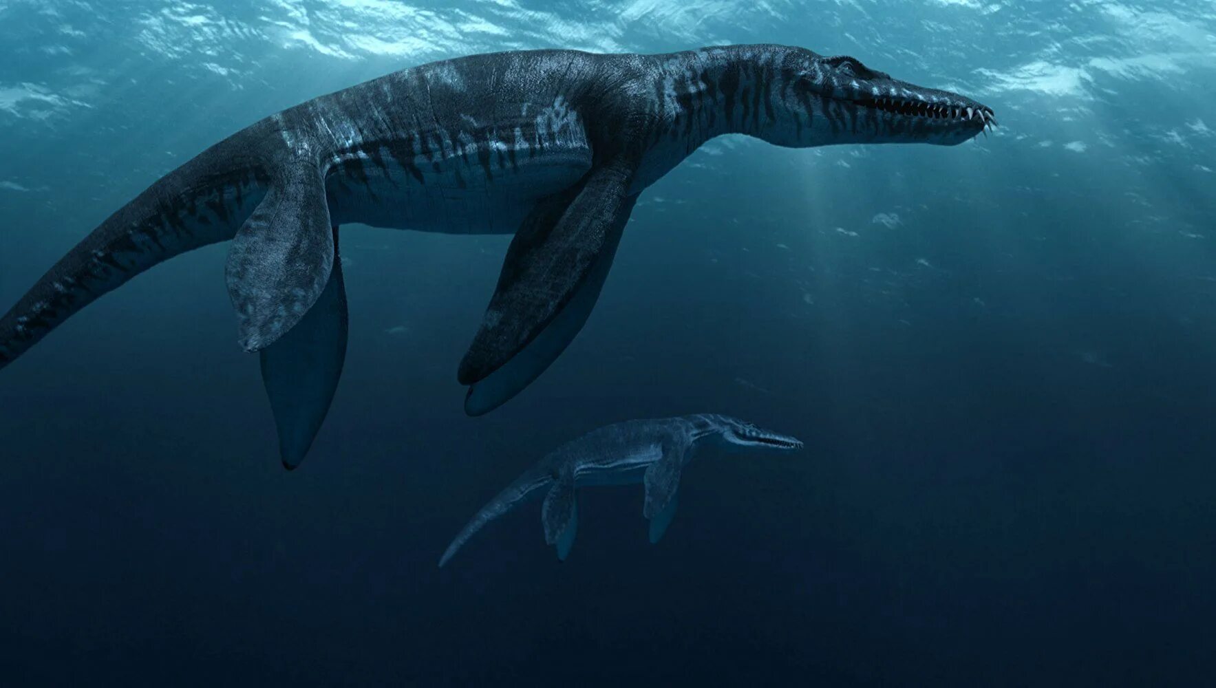 Динозавр жил в воде. Юрский период Лиоплевродон. Лиоплевродон динозавр. Лиоплевродон и Мозазавр.