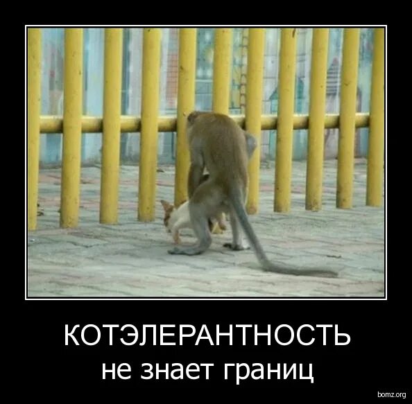 Не знающую границ. Прежде чем сказать поверни язык семь раз. Не знающую границ. Рекламный ход. Наша радость от вашего посещения не знает.