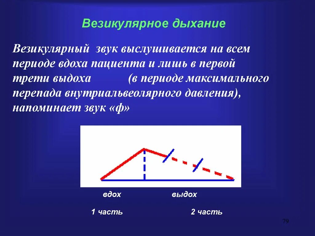 Механизм возникновения ослабленного везикулярного дыхания. Везикулярное ослабленное дыхание 1:0. Типы дыхания везикулярное пуэрильное. Везикулярное дыхание схема. Дыхание ясное везикулярное