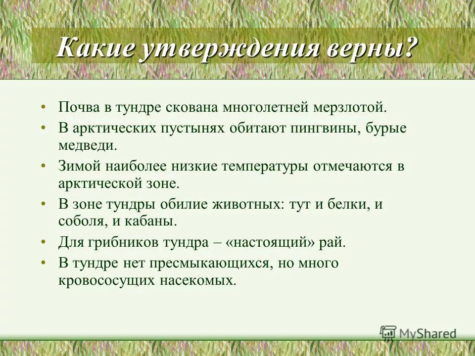 Почва скована многолетней мерзлотой. Бугры пучения на ямале. • мно¬го¬лет¬няя мерз¬ло¬та. Мерзлота в тундре. Почвы тундры.