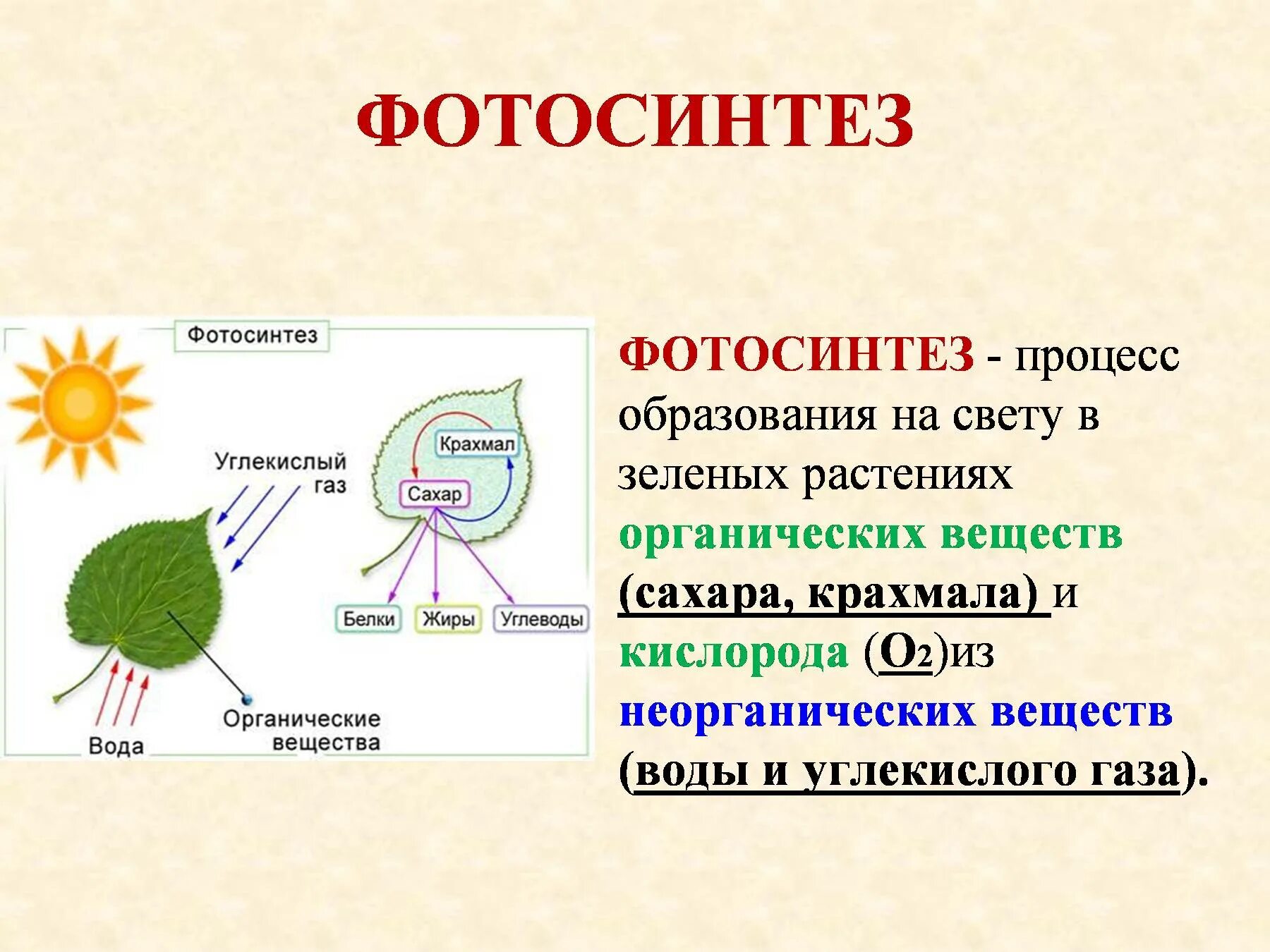 Кислород при фотосинтезе выделяется при расщеплении