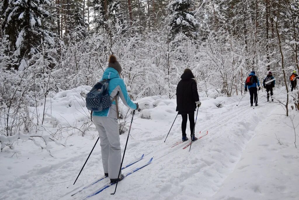 Лыжники были в походе 7 дней. Поход на лыжах. Лыжный туризм. Лыжи для туризма. Лыжный туризм для детей.