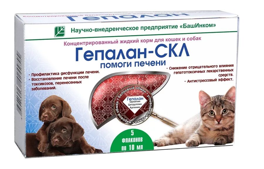 Печень кота. Гепатолюкс таблетки для собак. Гепатопротекторы для печени для кошек. Гепалан скл для котят. Таблетки для печени для кошек.