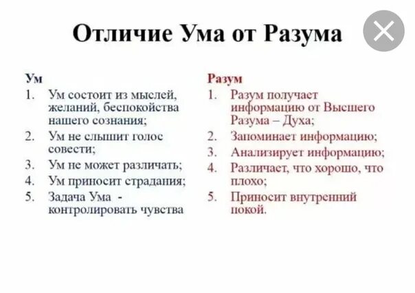 10 1 различие. Чем отличается ум от разума. Чем отличается ум от интеллекта. Ум разум интеллект отличия. Отличие ума от разума.