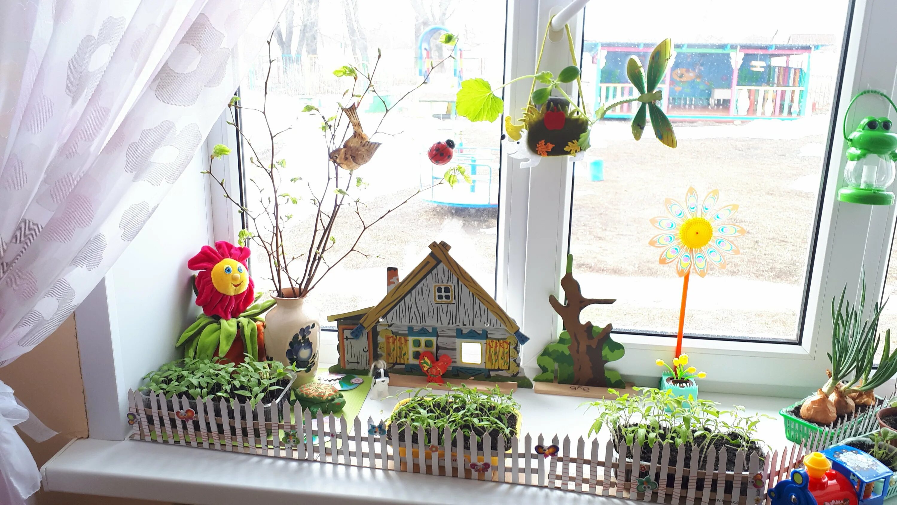 Огород на окне Чиполлино в детском саду. Огород на окне в садике. Огород на окошке в детском саду. Огород на подоконнике в детском. Огород на подоконнике в детском саду сказка