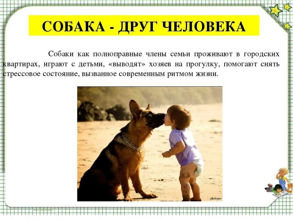 Почему собаки лучше людей