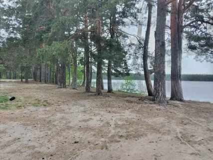 Погода приозерском районе на 3 дня
