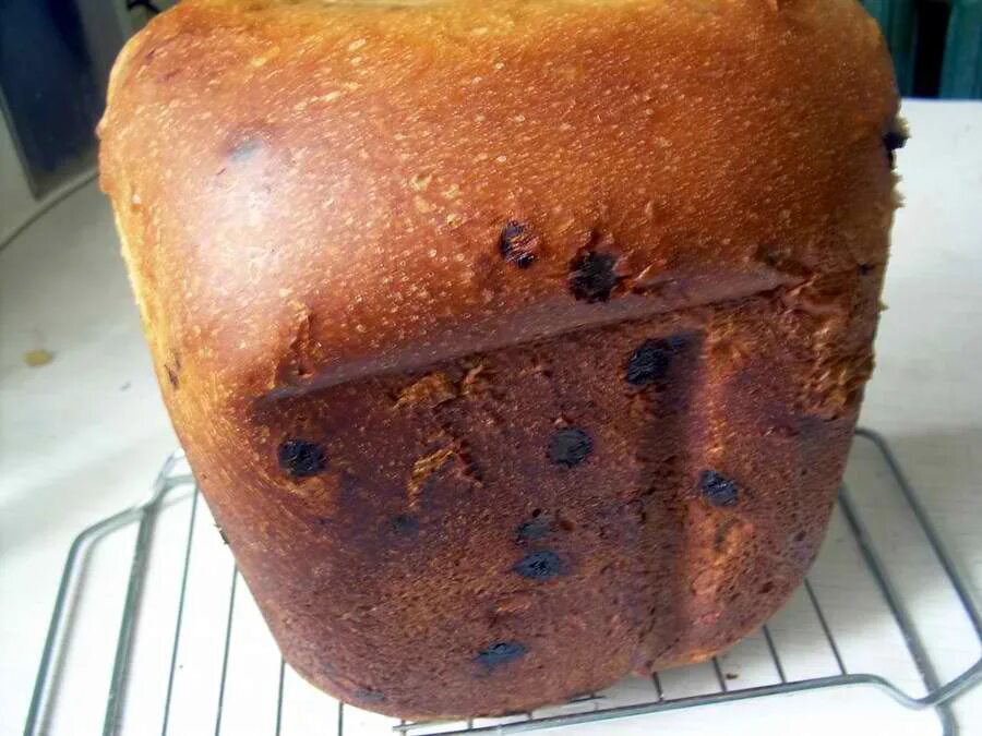 Евгений николаевич зиничев. Настоящий хлеб. Хлебов настоящий спасатель читать. Мармелад бутербродный бековский. Зиничев гибель.