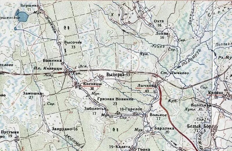 Дер. вершина Лычковского района Ленинградской области. Карта Лычково Демянского района Новгородской области. Кневицы Демянский район Новгородская область. Карта Демянского района. Погода в кневицах новгородская область демянский