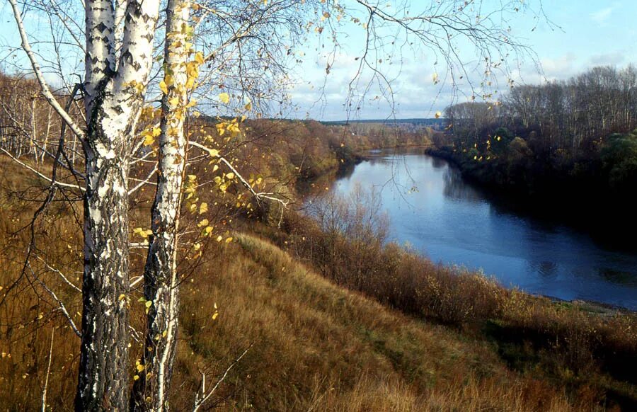 приток оби 5