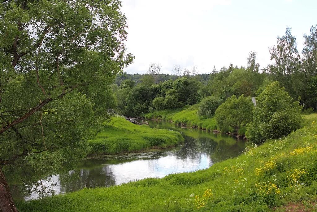 Река иста. Река иста. Река истра санниково. Река иста тульской области. Река истра исток.