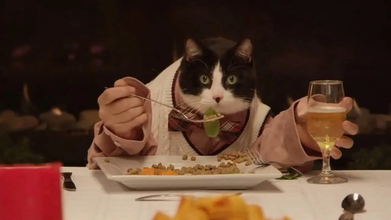 Держусь за стол. Котик за столом. Кот ужинает. Коты за столом. Котики за праздничным столом.