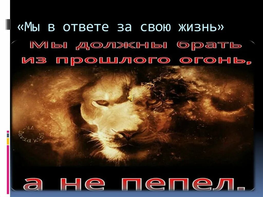Которые в ответе за. Которые в ответе за