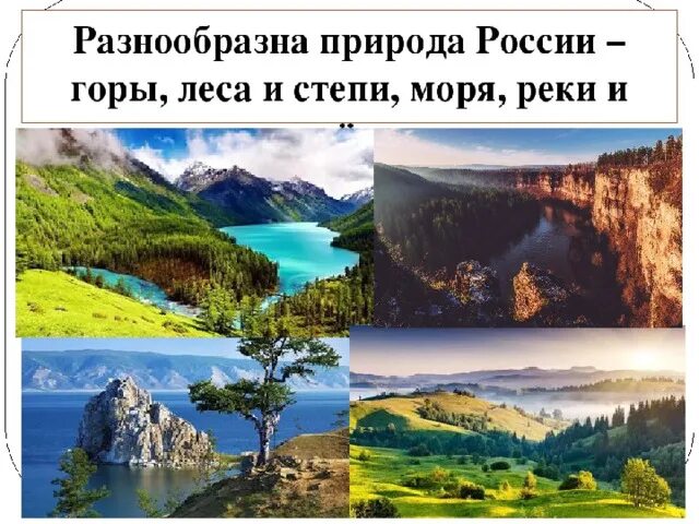 Проект на тему природный мир 8 класс Прзентация по биологии "Наука о живой природе"