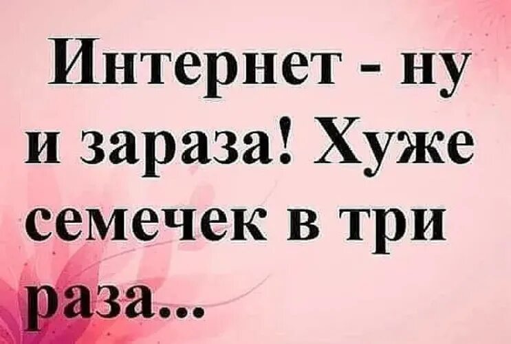 Хуже семечек. Девушка семена. Хуже семечек. Грызть семечки. Семечки в магните ассортимент.