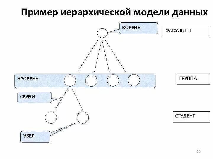 Корневой уровень. Иерархическая модель данных примеры. Модель иерархии эффектов. Иерархия примеры. Пример иерархической базы данных.