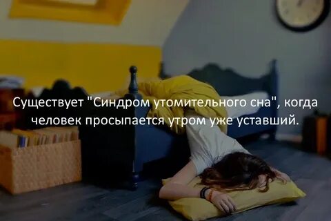 Просыпаться буду когда хочу