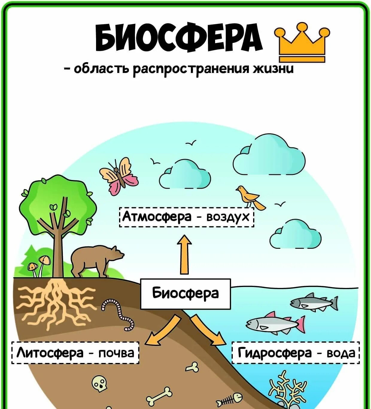 Мы и биосфера. Презентация на тему человек и биосфера. Биосфера буклет. Биосфера это в экологии. Человек и биосфера в виде буклета.