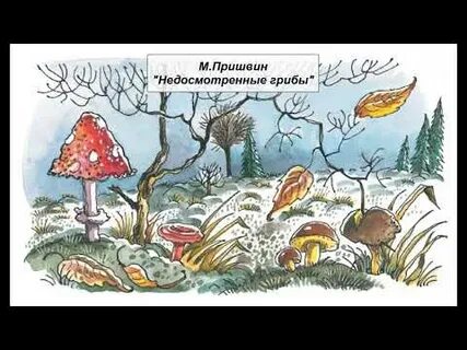 Пришвин гриб