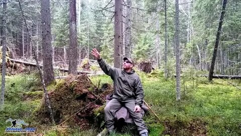 Валежник 2024