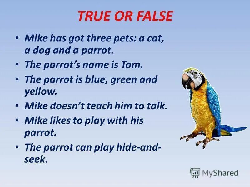 сведения о попугаях. сочинение мой любимый попугай. попугай на французском языке. сообщение о попугае. проект my pet.