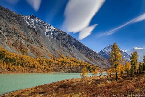 Altai territory