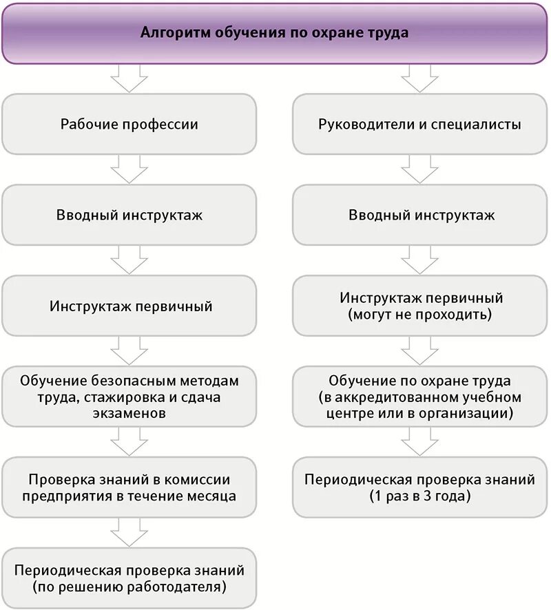 Алгоритм приема работника в общеобразовательную организацию. Схема обучения работников по охране труда. Алгоритм обучения по охране труда. Алгоритм работы специалиста по охране труда с нуля. Схема организации обучения по охране труда.