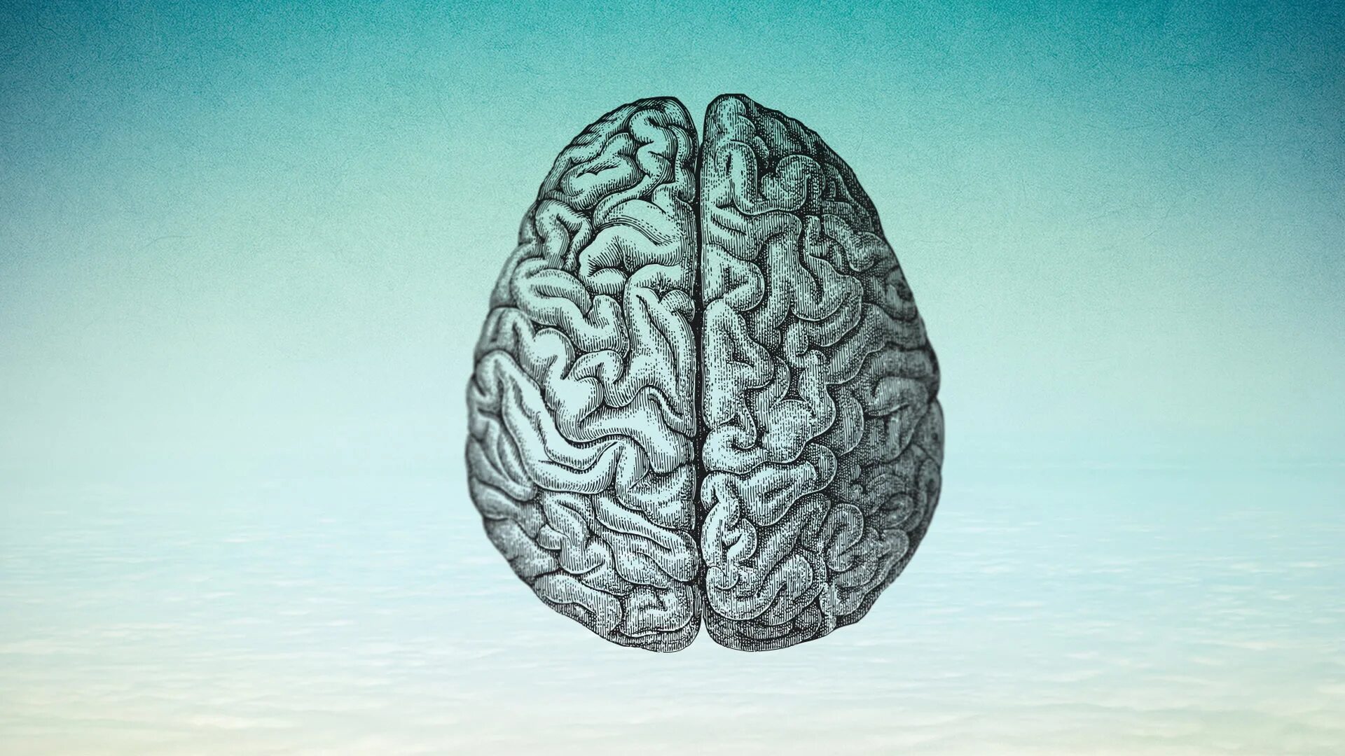 Старение головного мозга. Cerebro скрины. Проект #мозг45.