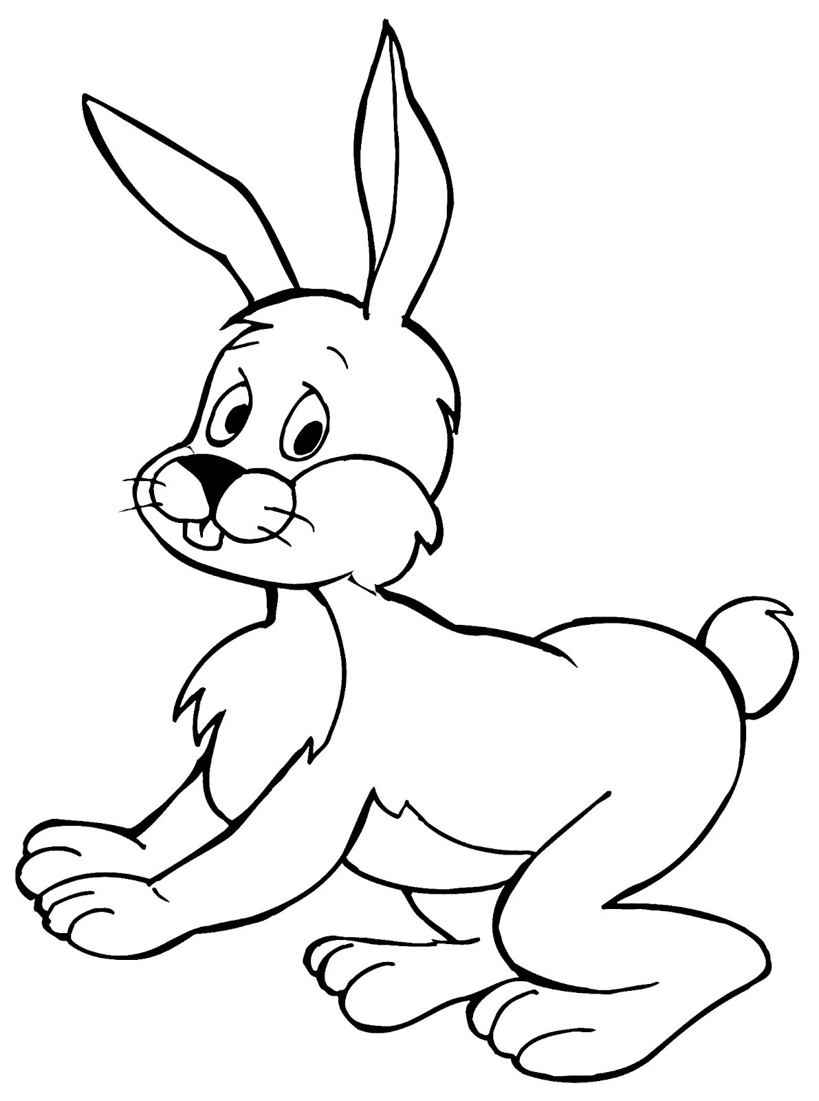 собака раскраска для детей. раскраска корона принцессы. раскраска натура. щенок рисунок для детей. собака раскраска для детей.