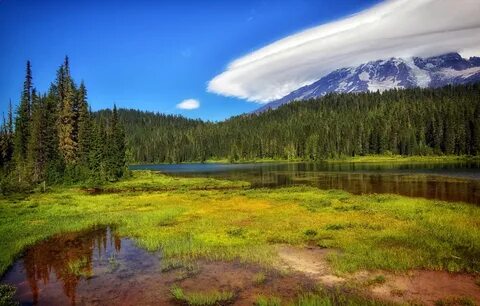 Бесплатное видео природа