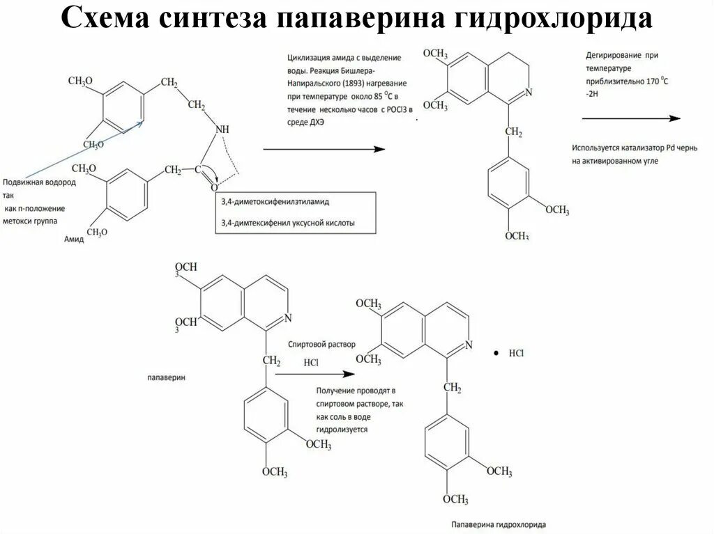 Синтез адрес. Функциональные группы папаверина гидрохлорида. Схема синтеза папаверина. Гидрокортизона Ацетат общая схема синтеза. Папаверина гидрохлорид качественные реакции.