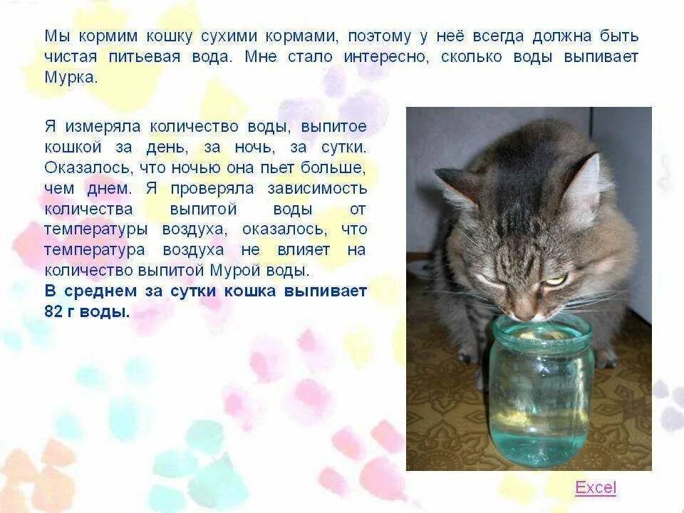 Сколько воды нужно коту в сутки. Сколько воды нужно пить кошке. Сколько кот должен пить воды в сутки. Сколько кот выпивает воды за раз.