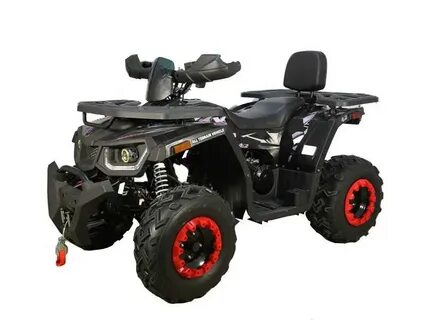 Avantis 200 big lux
