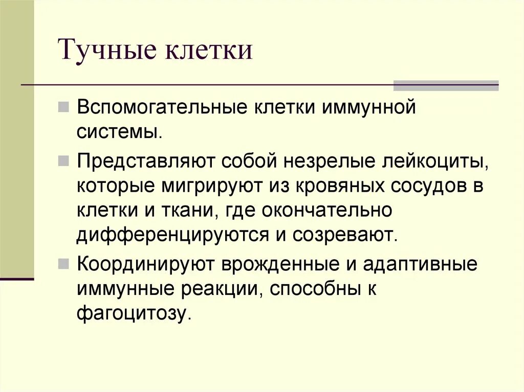 Функции вспомогательных клеток. Тучные клетки. особенности строения тучных клеток. вспомогательные клетки. тучные клетки функции.