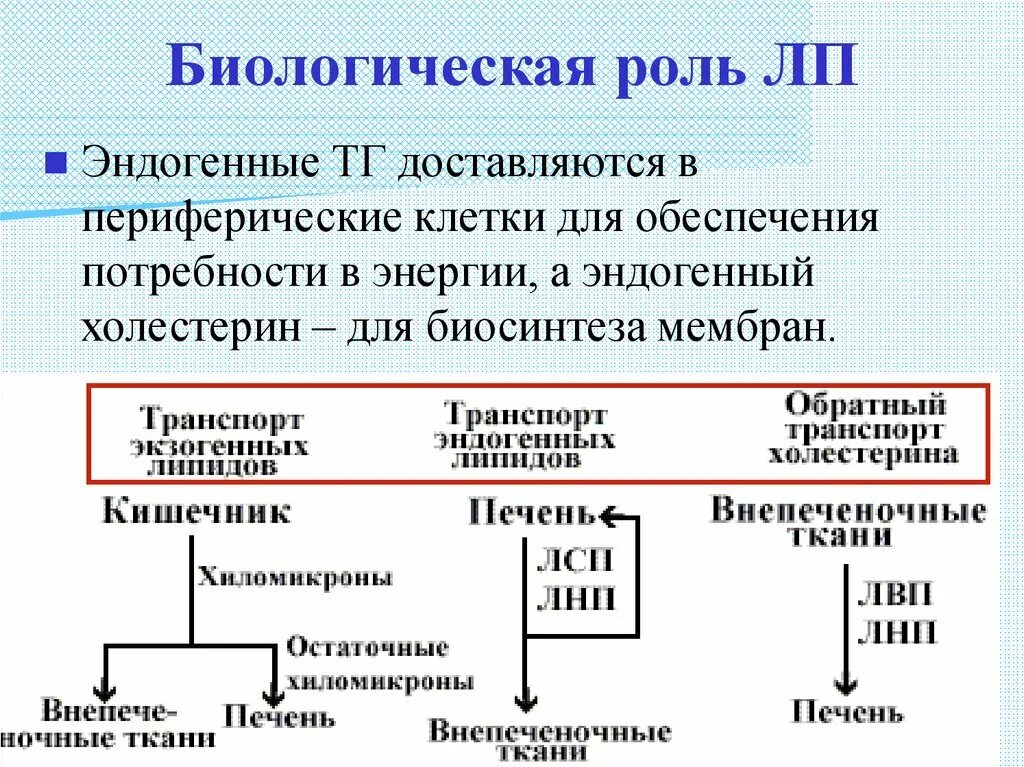 Биологическая роль липидов. Экзогенные и эндогенные липиды. Транспортные формы экзогенных липидов. Биологическая ролт липидов. Биологическая роль холестерина