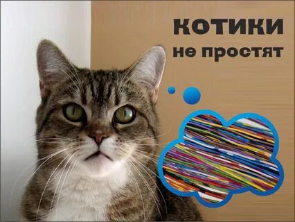 Инсульт у кошек симптомы