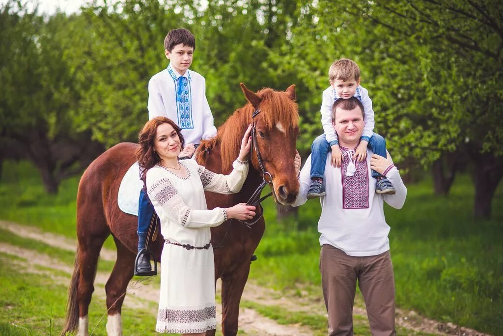 Horse family