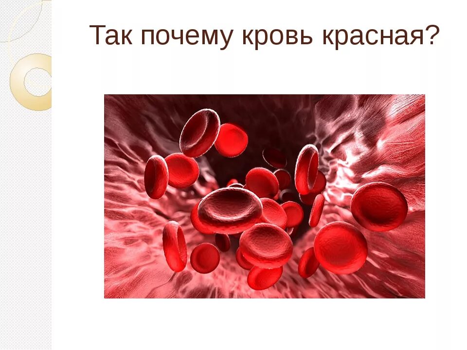 Почему кровь считают. Что придает крови красный цвет. Железо придает крови красный цвет. Почему кровь красная проект.