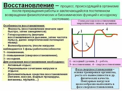Физиологическое время связано