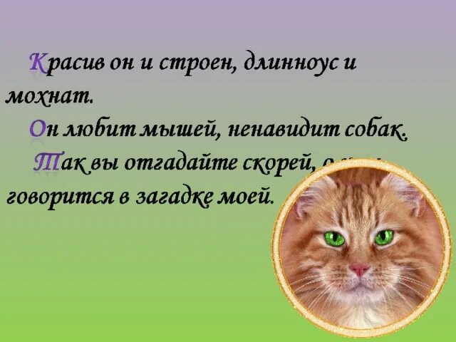 Паустовский к. "кот-ворюга". Кот-ворюга презентация. План рассказа кот ворюга Паустовский. Кот-ворюга план рассказа. Главная мысль рассказа кот ворюга