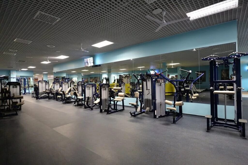 Фитнес зал арена норильск. Xfit юрга. Х фит норильск арена. Икс фит галактика. Мамонт норильск спортзал.