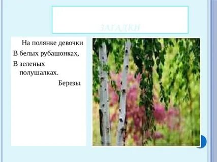В белых рубашонках в зеленых полушалках