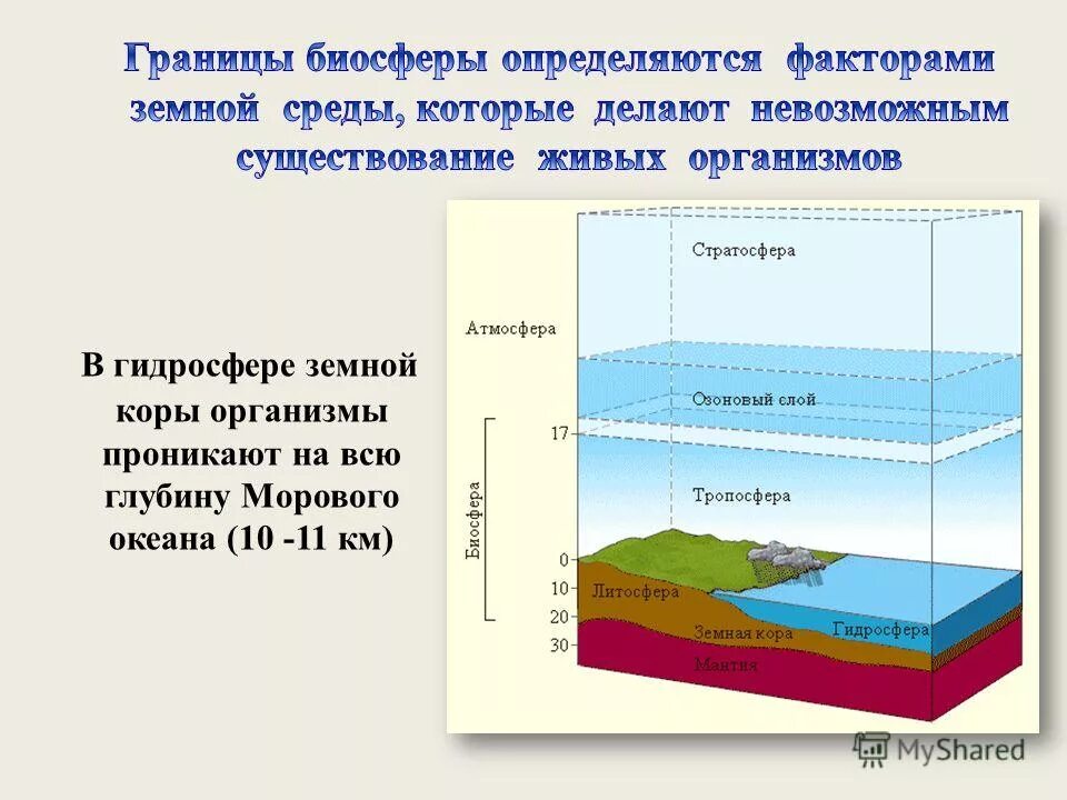 Влияние живых организмов на биосферу