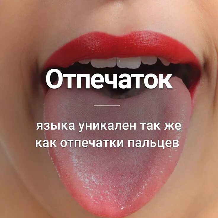 Отпечаток языка уникален.