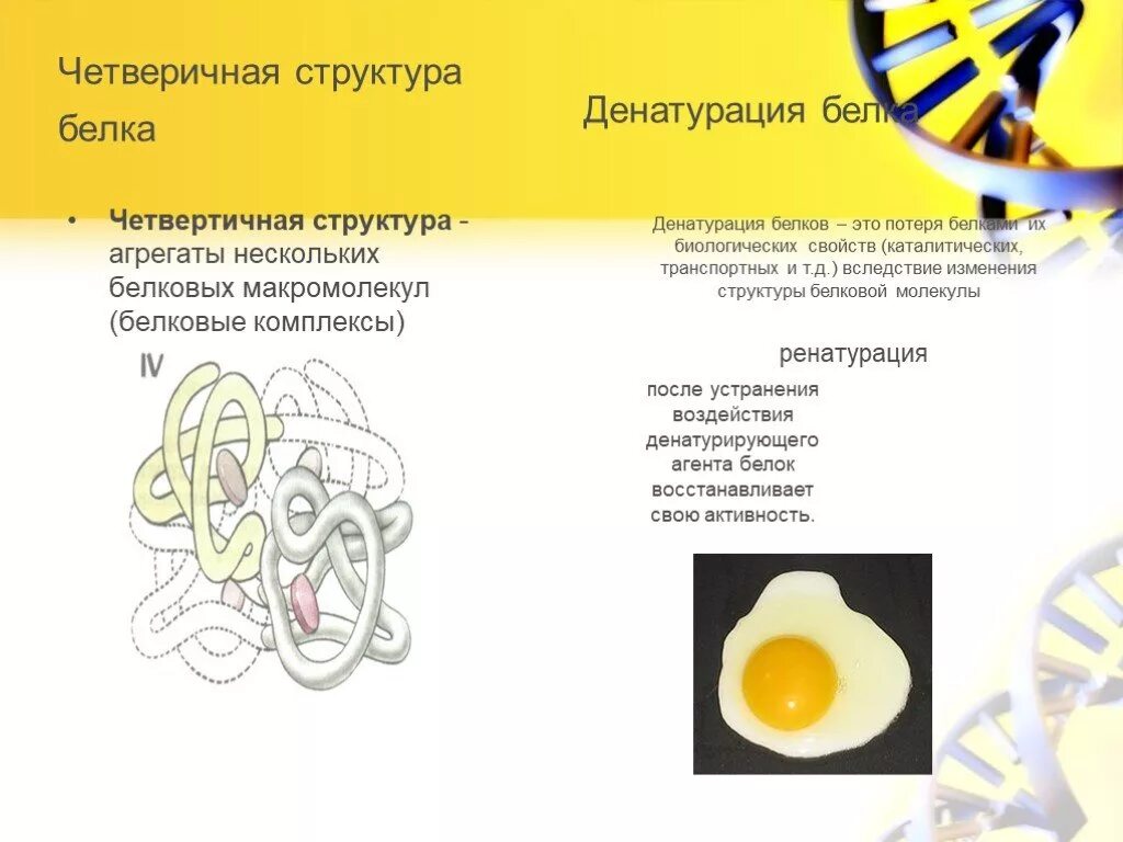 Процессы денатурации белков. Структура белка после денатурации. Денатурация и ренатурация белка. Структура белка. Денатурация. Ренатурация.. Строение структуры и денатурации белков.