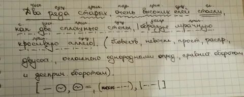 Еловый синтаксический разбор