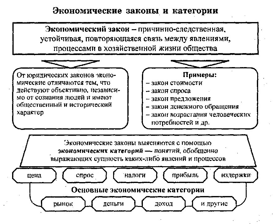 4 экономические категории. Экономические законы и категории. Экономические законы схема. Виды экономических законов. Экономические законы по сфере действия.