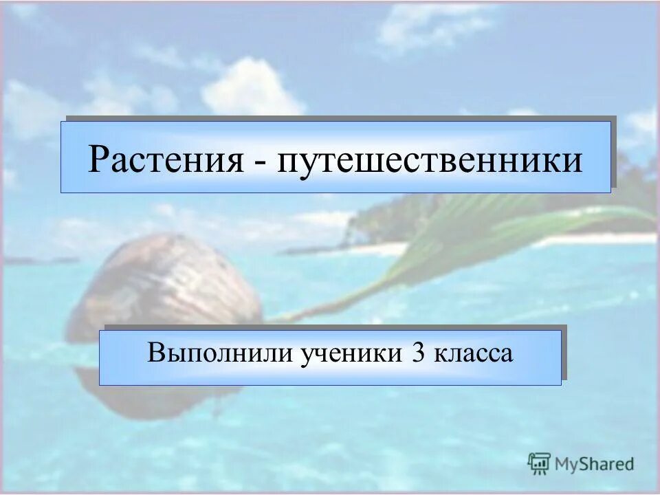 Путешественники 2 класс. Знаменитые путешественники. Известные исследователи. Стихотворение путешественники. Растения путешественники 2 класс окружающий мир.