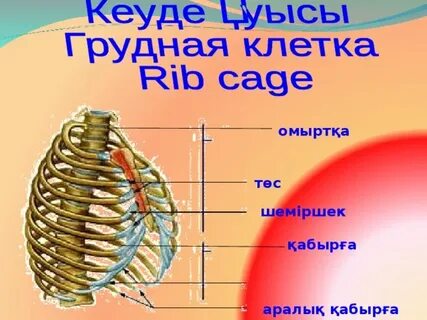Кэрол Вега онлайн анал