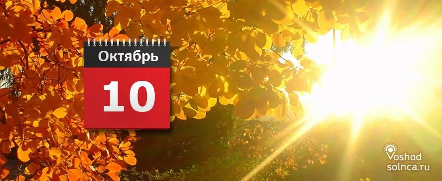 Октябрь 2023 картинка. 10 Октября. 10 Октября календарь. 10 Октября картинки. Месяц октябрь надпись.